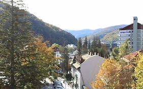 Central Park View Sinaia