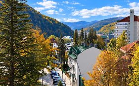 Central Park View Sinaia